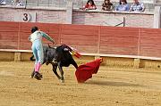 IMG_7572T_raw