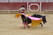 IMG_7771T_raw
