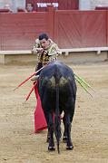 IMG_7954T_raw