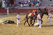 IMG_8829T_raw