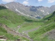 IMG_4524T